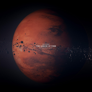 精品亚洲性xxx久久久
