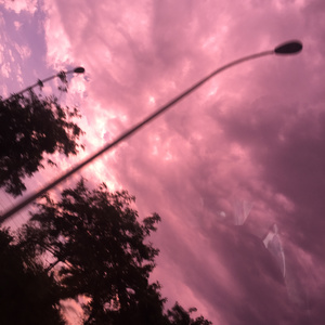 精品亚洲性xxx久久久
