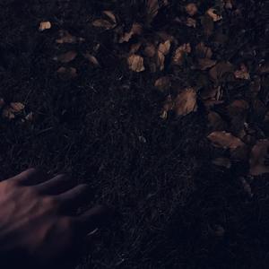 精品亚洲性xxx久久久
